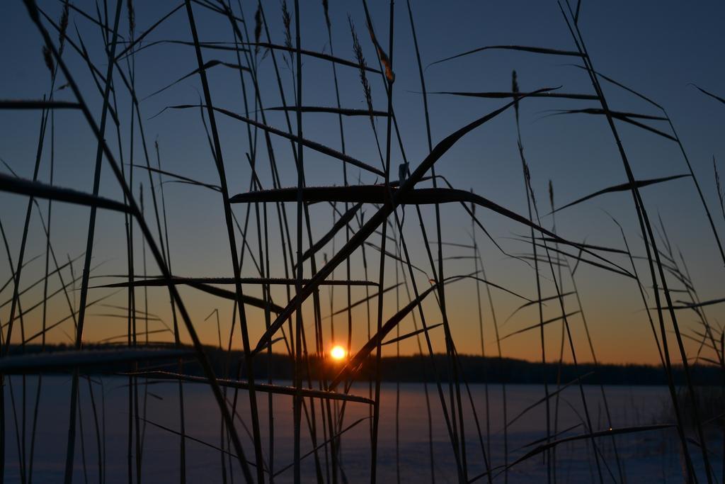 Loikansaari Lomamoekit Holiday Cottages Kallislahti ภายนอก รูปภาพ